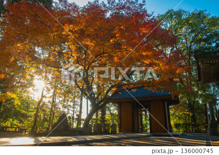 紅葉期の大興善寺「仁王門(山門)」 紅葉期の大興善寺「仁王門(山門)」 136000745