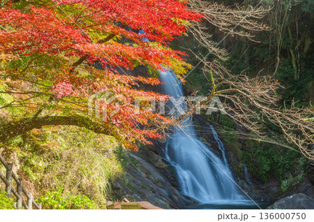 秋の見帰りの滝 136000750