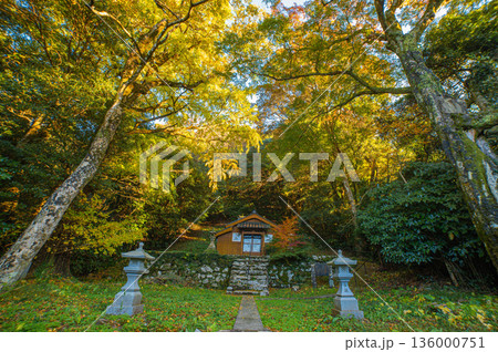 吉田大明神の紅葉 136000751