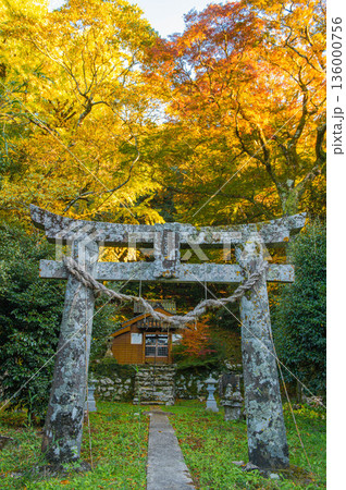吉田大明神の紅葉 136000756