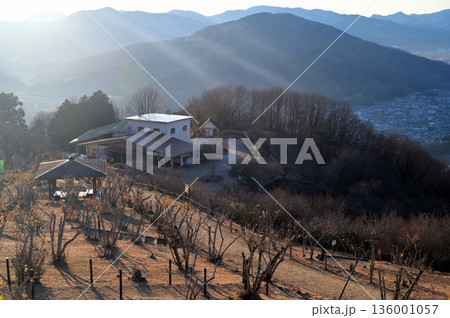 宝登山頂上にある奥の院とテラス/展望台から見た冬景色 136001057
