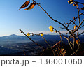 宝登山頂上にある奥の院とテラス/展望台から見た冬景色 136001060