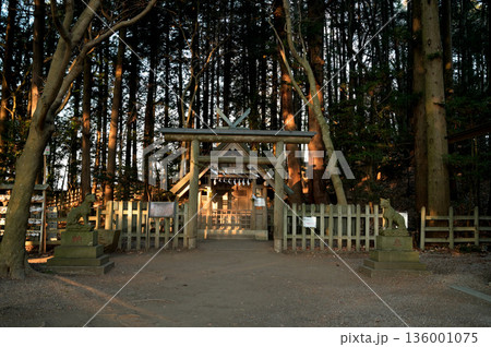 宝登山頂上にある奥の院とテラス/展望台から見た冬景色 宝登山頂上にある奥の院とテラス/展望台から見た冬景色 136001075