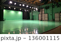 Realistic Tiny Pastel Stage with Soft Studio Lighting and Reflective Light Green Floor Surface 136001115