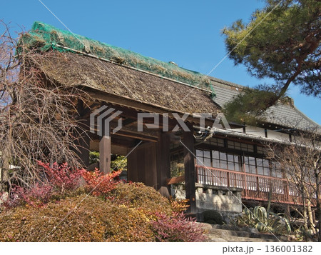 青梅市 明白院 福禄寿 青梅市 明白院 福禄寿 136001382