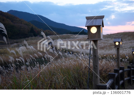 すすき越しに見る夕焼けの高原 136001776
