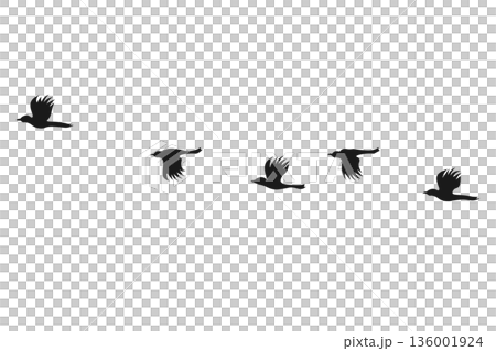 飛翔的烏鴉剪影插圖 飛翔的烏鴉剪影插圖 136001924