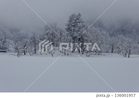 冬の裏磐梯 136001957