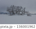 冬の檜原湖　小島 136001962