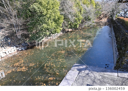 甲斐 武田神社 136002459