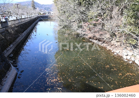 甲斐 武田神社 136002460