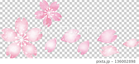 桜の手描きの水彩イラストセット　満開の花やつぼみ、舞い散る花びらのベクター素材 136002898