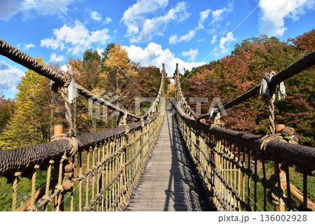 神奈川県　小田原こどもの森公園わんぱくらんどのわんぱく大橋と紅葉 136002928