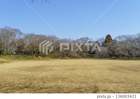 【千葉県佐倉市】佐倉城址公園・本丸跡 136003421