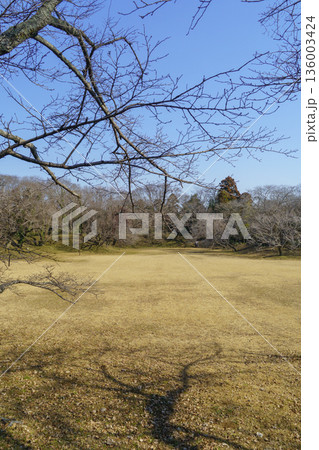 【千葉県佐倉市】佐倉城址公園・本丸跡 【千葉県佐倉市】佐倉城址公園・本丸跡 136003424