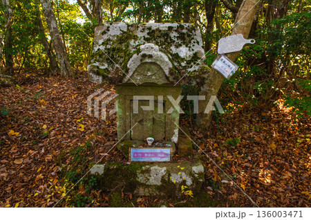 鹿嵐山雌岳の山頂 136003471