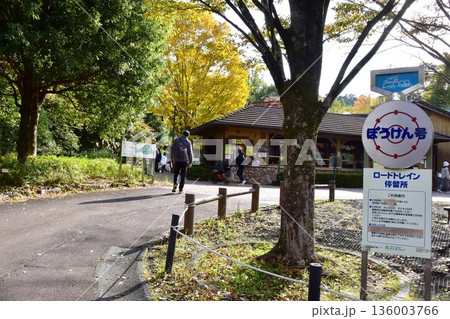神奈川県 小田原こどもの森公園わんぱくらんどのこども列車冒険の丘駅と黄葉 神奈川県 小田原こどもの森公園わんぱくらんどのこども列車冒険の丘駅と黄葉 136003766