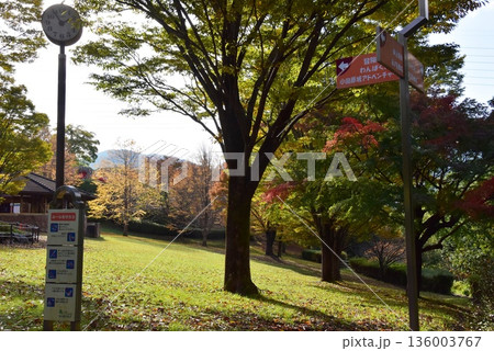 神奈川県　小田原こどもの森公園わんぱくらんどのこども列車冒険の丘駅と黄葉 136003767