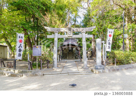 中村公園の八幡社(名古屋市中村区) 中村公園の八幡社(名古屋市中村区) 136003888