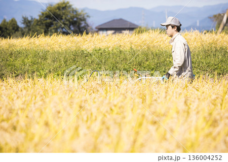 稲刈りイメージ 手押しの稲刈り機バインダーを使って稲を刈る男性 稲刈りイメージ 手押しの稲刈り機バインダーを使って稲を刈る男性 136004252