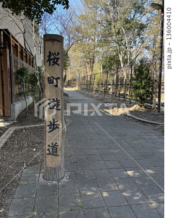 桜町遊歩道 桜町遊歩道 136004410