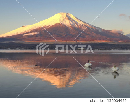 紅富士と逆さ富士(山中湖) 136004452