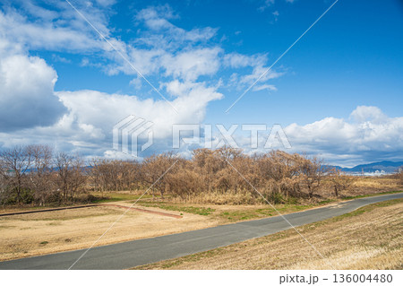 冬の淀川河川公園出口地区　大阪府枚方市 136004480