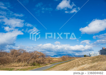 冬の淀川河川公園出口地区　大阪府枚方市 136004482