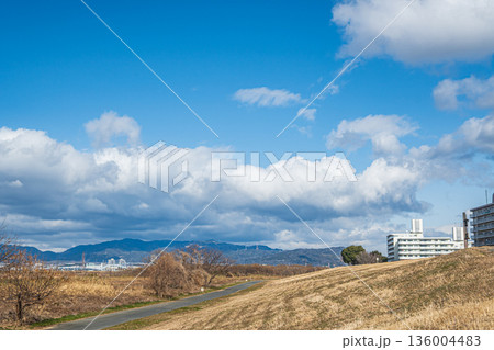 冬の淀川河川公園出口地区 大阪府枚方市 冬の淀川河川公園出口地区 大阪府枚方市 136004483