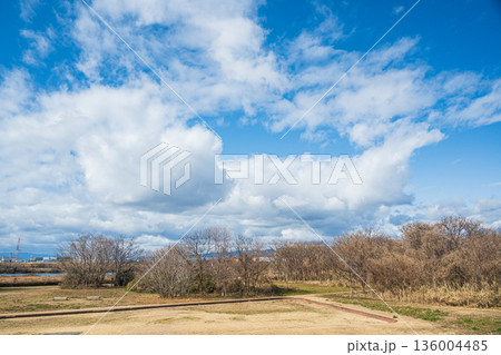 冬の淀川河川公園出口地区 大阪府枚方市 冬の淀川河川公園出口地区 大阪府枚方市 136004485