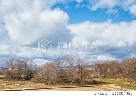 冬の淀川河川公園出口地区 大阪府枚方市 冬の淀川河川公園出口地区 大阪府枚方市 136004486