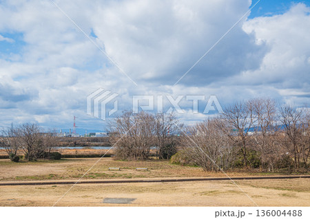 冬の淀川河川公園出口地区 大阪府枚方市 冬の淀川河川公園出口地区 大阪府枚方市 136004488