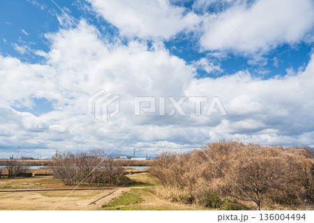 冬の淀川河川公園出口地区　大阪府枚方市 136004494