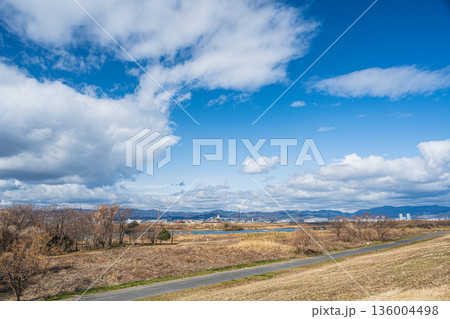 冬の淀川河川公園出口地区 大阪府枚方市 冬の淀川河川公園出口地区 大阪府枚方市 136004498