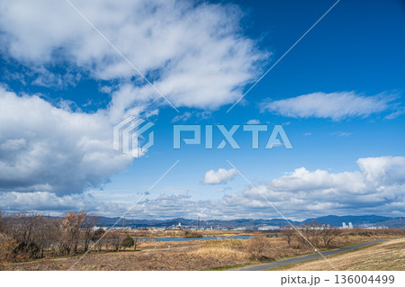 冬の淀川河川公園出口地区 大阪府枚方市 冬の淀川河川公園出口地区 大阪府枚方市 136004499