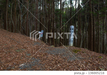 祖母山の登山道(風穴コース) 祖母山の登山道(風穴コース) 136005218