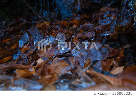 祖母山登山道付近の氷筍 136005220