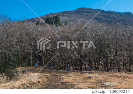 祖母山の国観峠 祖母山の国観峠 136005254