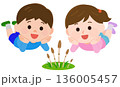 寝そべってつくしを見る男の子と女の子　イラスト 136005457