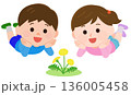 寝そべってタンポポを見る男の子と女の子　イラスト 136005458