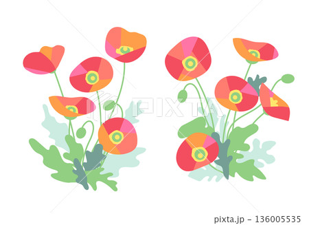 開花した赤いポピーの花 136005535