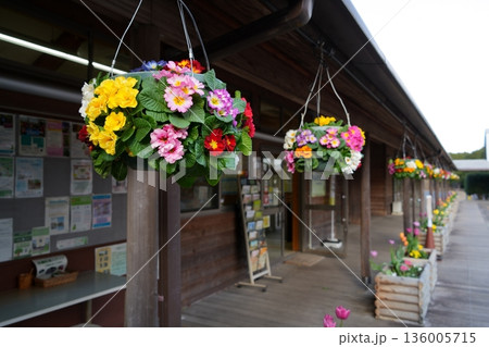 吊り花 136005715