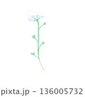 シンプルで水彩風のなずな 136005732