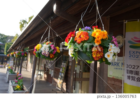 吊り花 吊り花 136005763