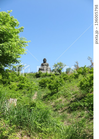 木々に囲まれた大仏の光景2 136005798