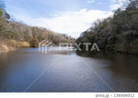 堂尾池（金剛生駒紀泉国定公園） 136006012