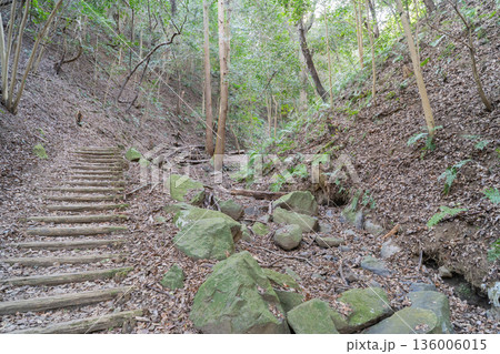 堂尾池ハイキングコースから水辺公園へ向かう登山道（金剛生駒紀泉国定公園） 136006015