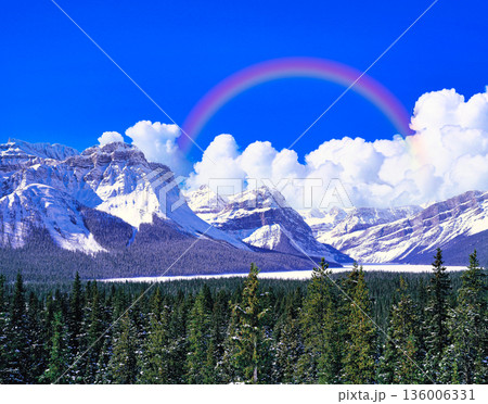 厳冬期のカナディアンロッキーの冬景色 136006331