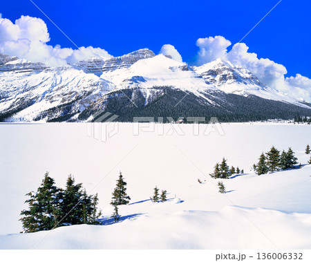厳冬期のカナディアンロッキーの冬景色 136006332