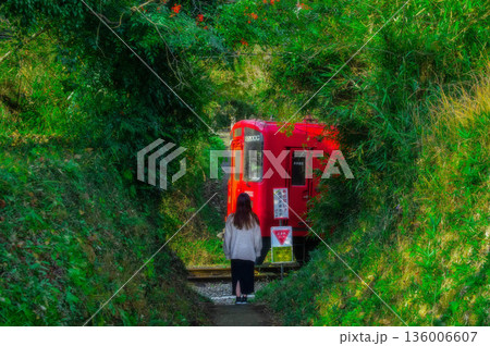 森のトンネルの先を通過する列車 136006607